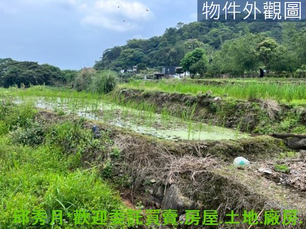 新北三芝農地-6