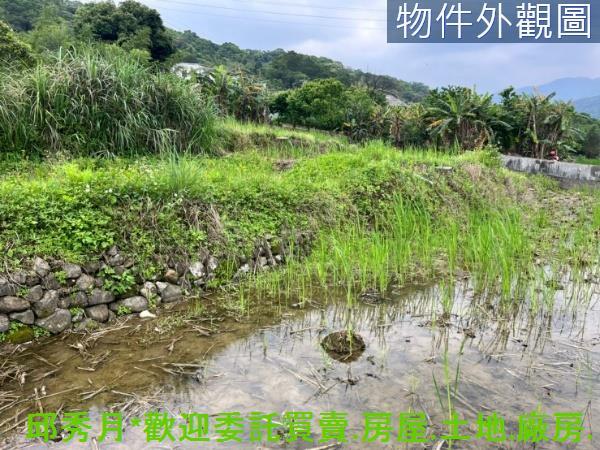 新北三芝農地-7