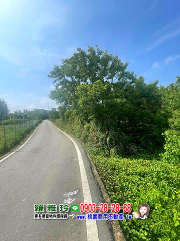 桃園觀音農地-2