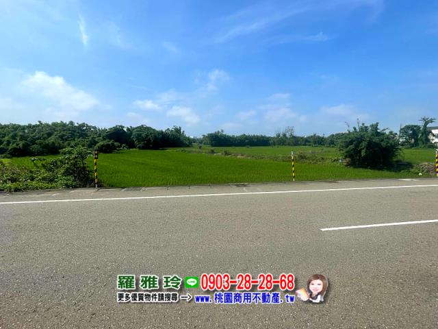 桃園觀音農地-3