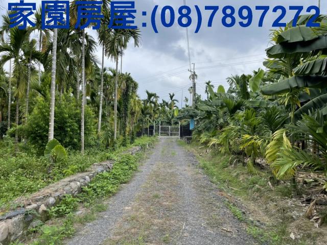 潮州農地-6