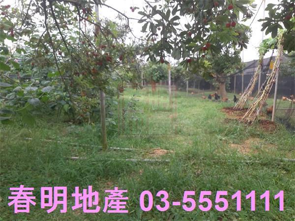 新竹湖口農地-3