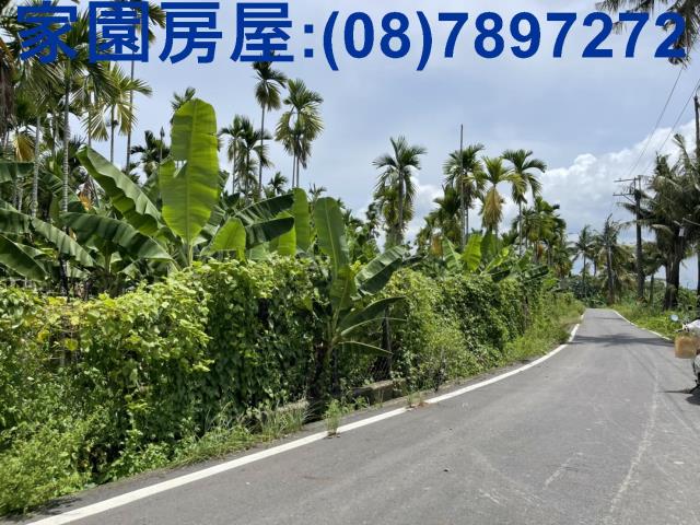 屏東內埔農地-2