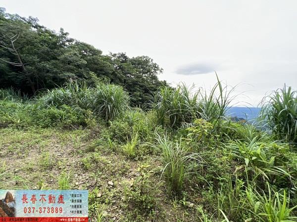 卓蘭四面環山小屋