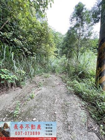 苗栗農地-6