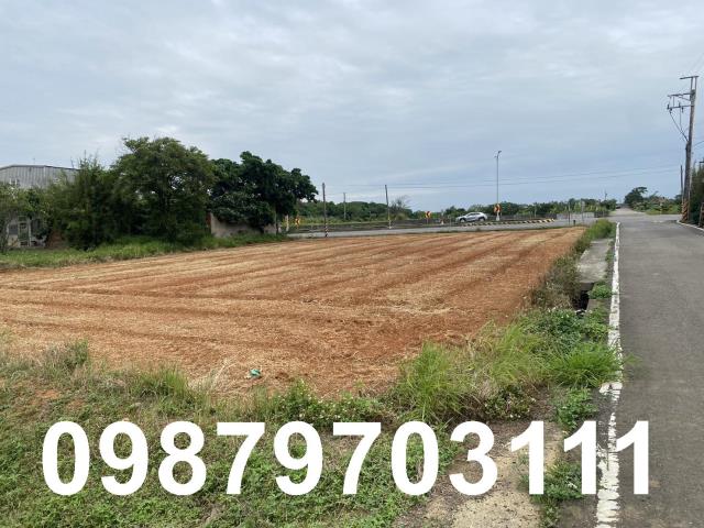 桃園新屋農地-3