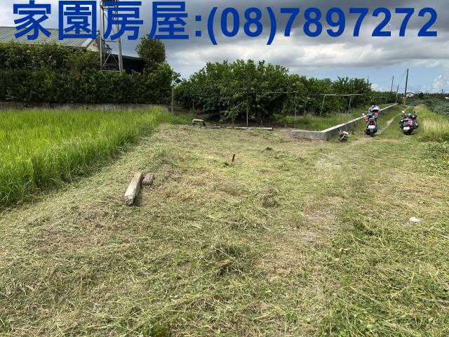屏東農地-1