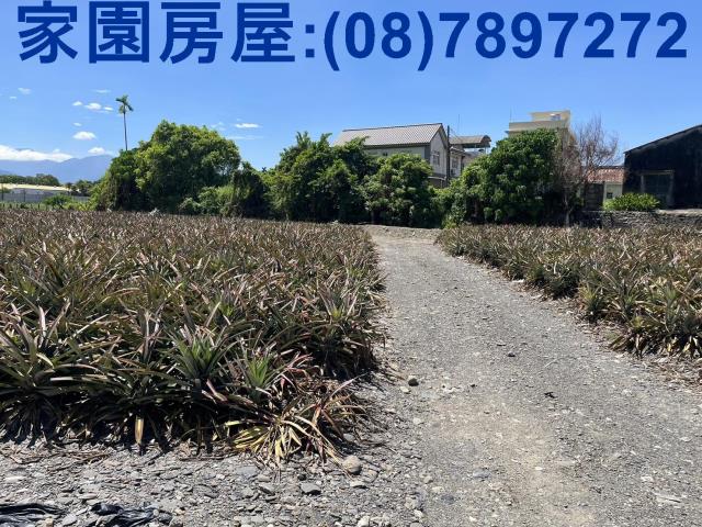 竹田大成路工農廠房出售