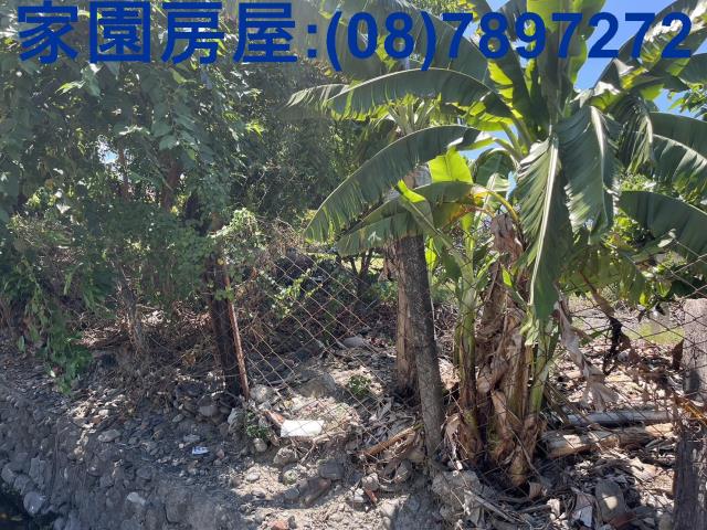 屏東潮州農地-3