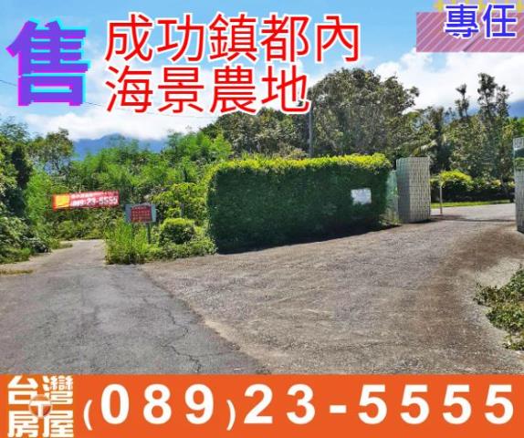 台東農地台東房地產台東土地買賣台東房仲台東仲介市區農地