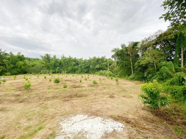 台南左鎮農地-13