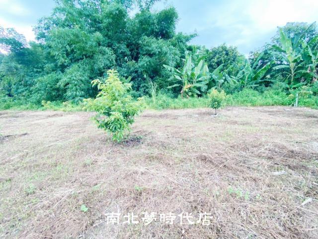 台南左鎮農地-9