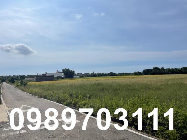 桃園觀音農地-3