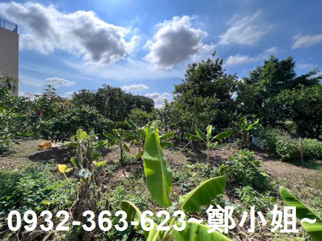 桃園桃園區農地-11