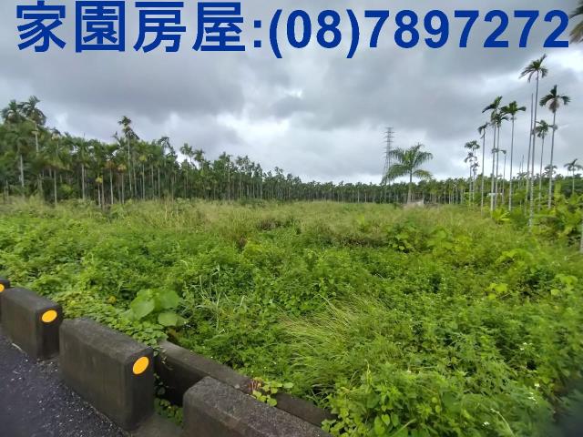 屏東潮州農地-2