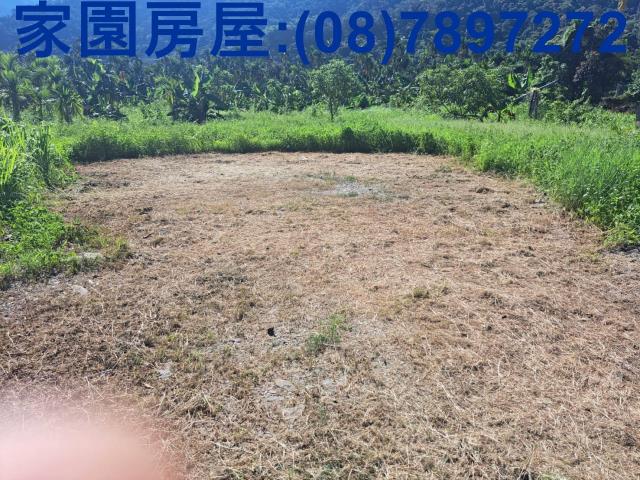 萬丹一般農業區農牧用地876坪出售