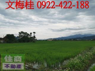 宜蘭縣壯圍鄉古結段農地出售