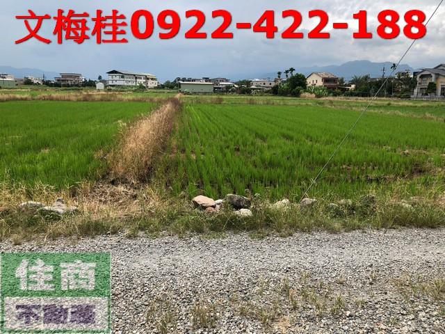 宜蘭縣礁溪鄉玉田段農地出售