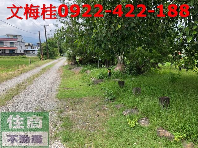 宜蘭宜蘭市農地-8