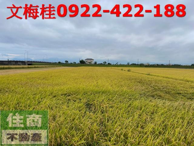 宜蘭縣員山鄉湖北段農地出售