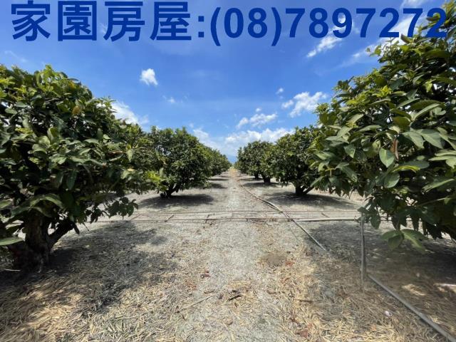 南州農地-1