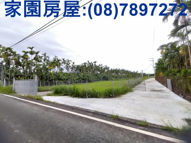 內埔檳榔園收益農地B