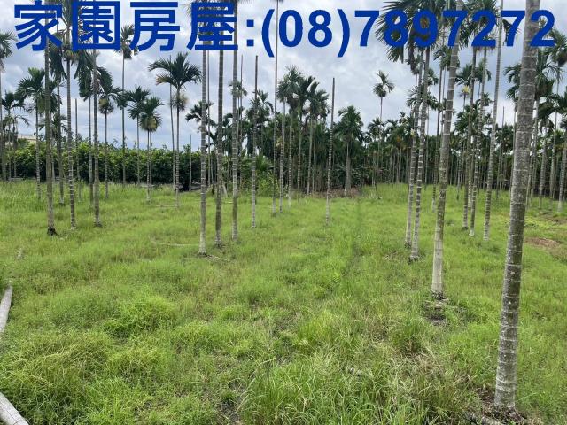 近高樹鄉公所最美休閒農地