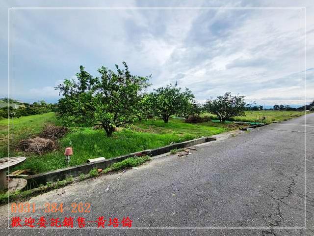 黃培倫H。蝸牛居