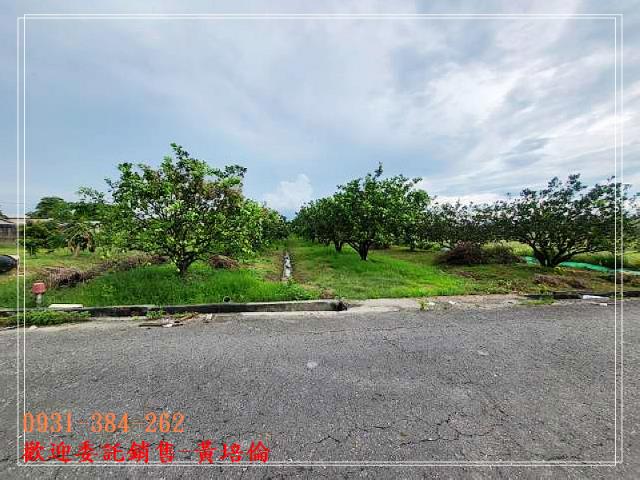 台南培倫房屋土地王