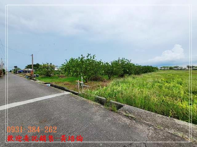 黃培倫H。蝸牛居