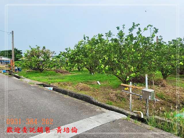 台南培倫房屋土地王,