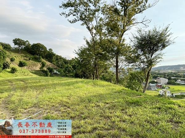 苗栗公館農地-11