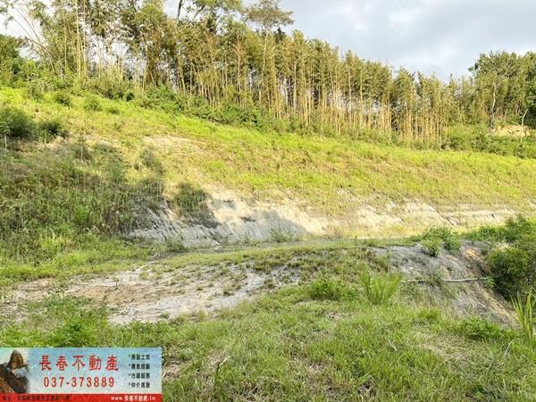 苗栗公館農地-8