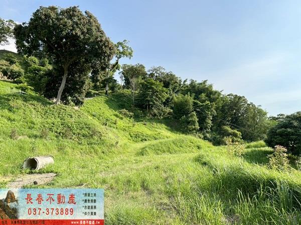 苗栗公館農地-1