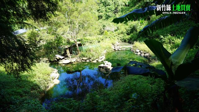 8E068新東大橋旁農地