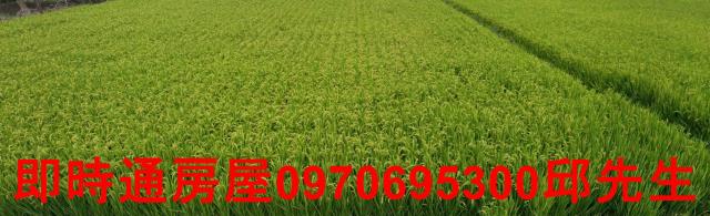 高雄大寮農地-0