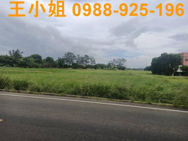 桃園新屋農地-9