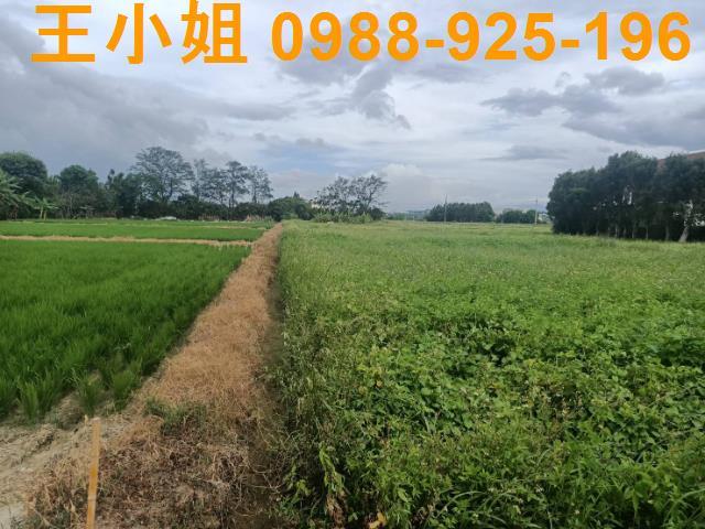 桃園新屋農地-13