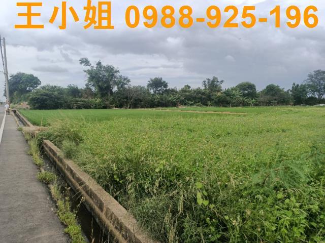 桃園新屋農地-6