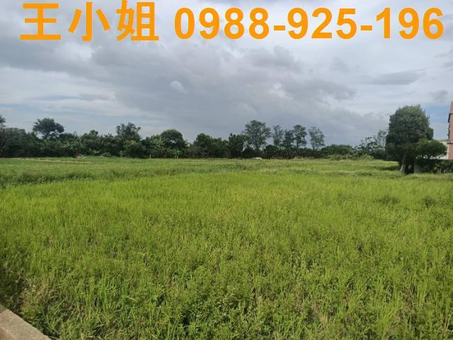 桃園新屋農地-7