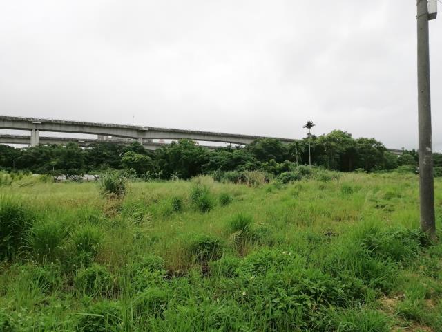 桃園中壢農地-6