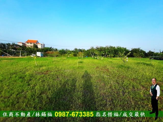 台南安南農地-9