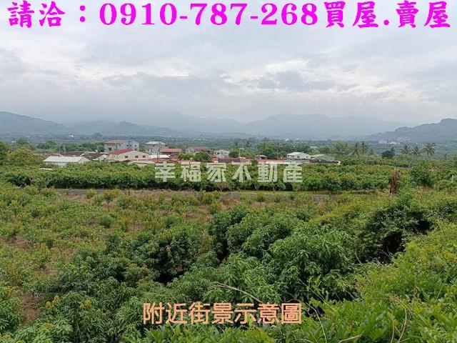 台南玉井農地-11