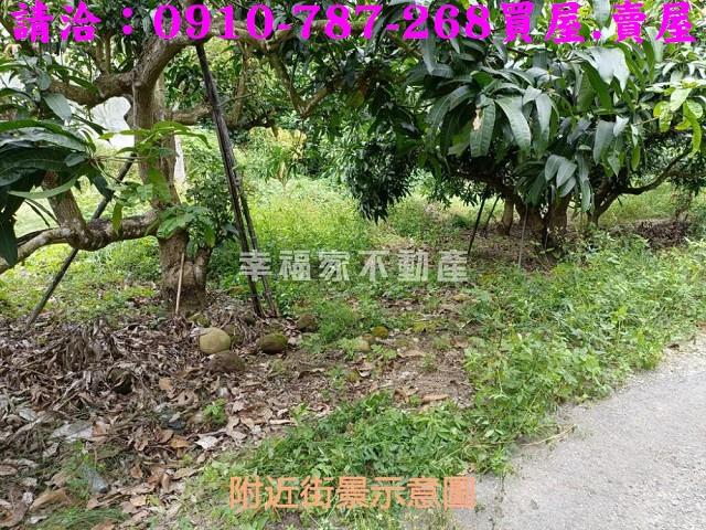 台南玉井農地-5