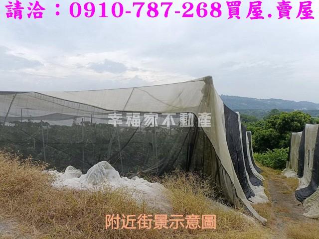 台南玉井農地-12