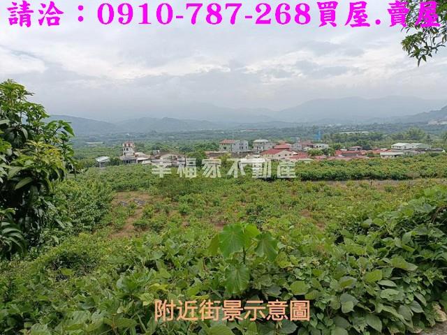 台南玉井農地-1