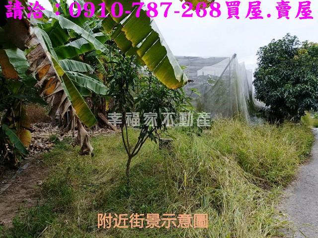 台南玉井農地-3