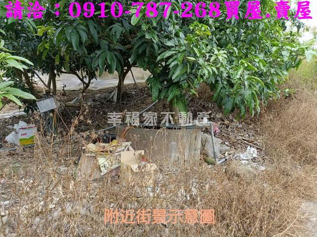 台南玉井農地-5