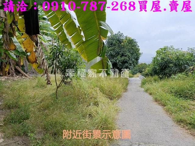 台南玉井農地-6