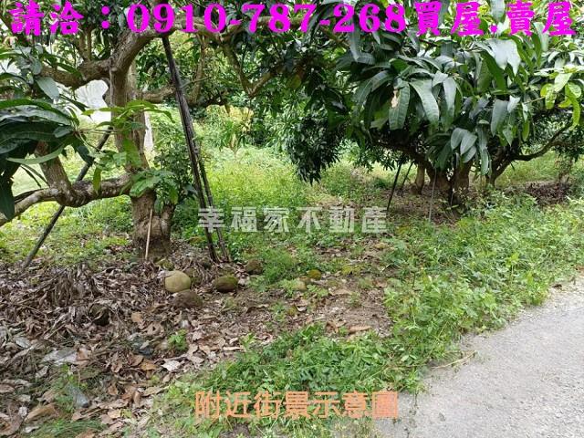 台南玉井農地-7